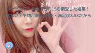 ポケットワークの口コミ15名調査した結果！危ない？平均月収6.1万円・満足度3.53だから安心